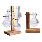 Creative Hydroponics Plant Transparent Glass Decorative Vase